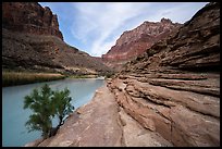 Turquoise Little Colorado River. Grand Canyon National Park ( color)