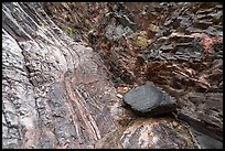 Metamorphic folds and polished striations in the Vishnu Basement Rocks. Grand Canyon National Park ( color)