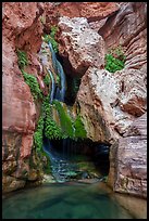 Ribbon-like streams cascade over mossy ledges at Elves Chasm, a secluded oasis shaded by canyon walls. Grand Canyon National Park ( color)