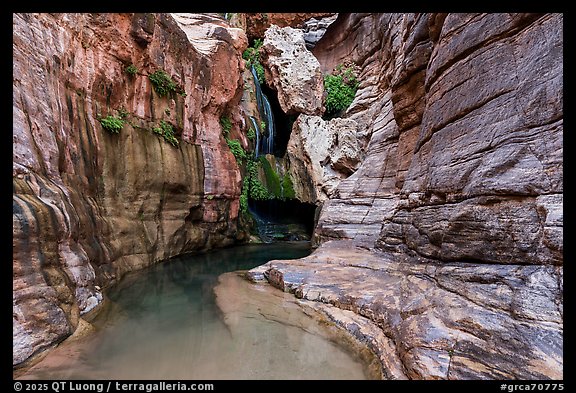 The grotto of Elves Chasm opens into a quiet pool framed by sculpted sandstone and hanging gardens. Grand Canyon National Park (color)
