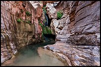 The grotto of Elves Chasm opens into a quiet pool framed by sculpted sandstone and hanging gardens. Grand Canyon National Park ( color)