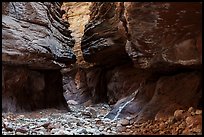 The dry narrows of Blacktail Canyon reveal the tight folds of time etched into the ancient rock. Grand Canyon National Park ( color)