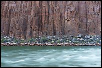 Dark basalt cliffs rise vertically from the river, their base lined with talus and scattered desert vegetation. Grand Canyon National Park ( color)