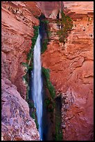 Deer Crek falls detail. Grand Canyon National Park ( color)