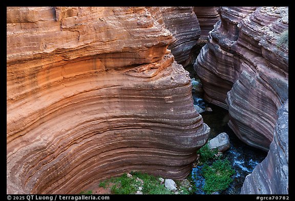 Concentric rock layers swirl tightly around the stream at the edge of Deer Creek Narrows. Grand Canyon National Park (color)
