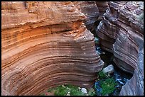 Concentric rock layers swirl tightly around the stream at the edge of Deer Creek Narrows. Grand Canyon National Park ( color)