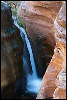A waterfall in Deer Creek plunges into a narrow chasm.. Grand Canyon National Park ( color)