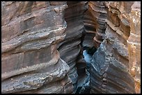 A glimpse into the deeply incised narrows of Deer Crek from above.. Grand Canyon National Park ( color)