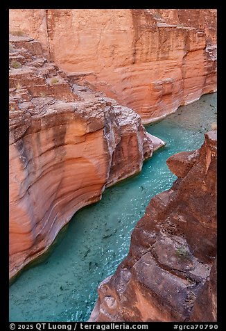 Milky turquoise waters course through the sculpted curves of fish-filled Havasu Creek. Grand Canyon National Park (color)