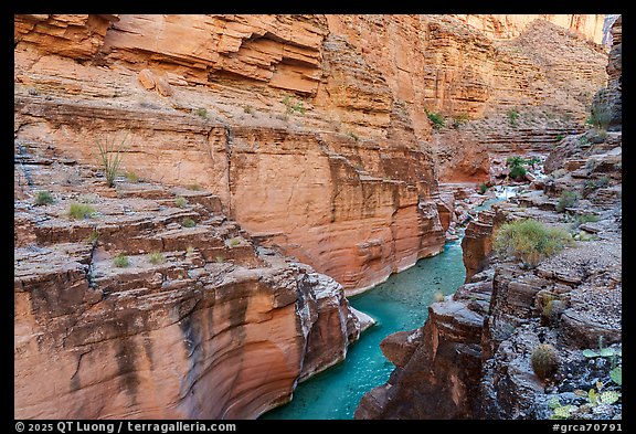 Havasu Creek narrows into a series of sensuous, fluted bends.. Grand Canyon National Park (color)