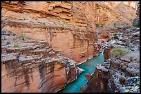 Havasu Creek narrows into a series of sensuous, fluted bends.. Grand Canyon National Park ( color)