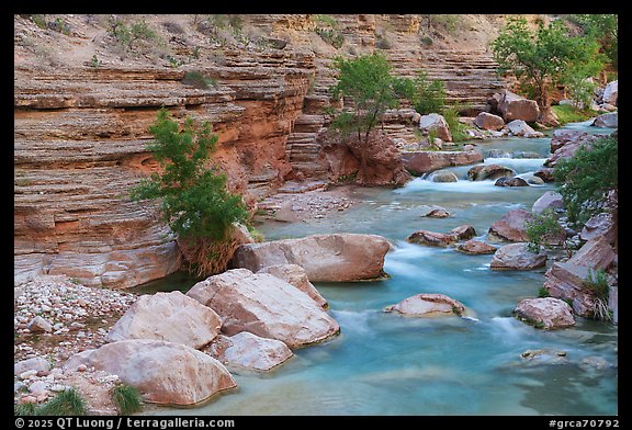 A calm section of Havasu Creek. Grand Canyon National Park (color)