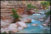 A calm section of Havasu Creek. Grand Canyon National Park ( color)