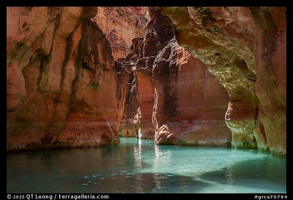 The narrow flooded corridor of Havasu Creek glows with reflected canyon light. Grand Canyon National Park (color)