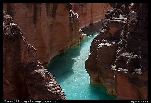 A sinuous stretch of turquoise water cuts between vertical sandstone walls of Havasu Creek. Grand Canyon National Park (color)