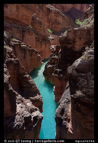 Havasu Creek flows in a narrow gorge. Grand Canyon National Park (color)