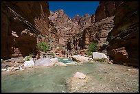 Clear water pools beneath cliffs near the mouth of Havasu Creek. Grand Canyon National Park ( color)