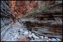 Layered walls of National Canyon bear signs of water scouring and pockmarks. Grand Canyon National Park ( color)