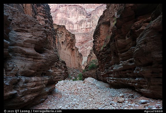 View downstream through the narrows of National Canyon. Grand Canyon National Park (color)