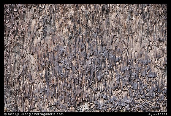 Dark basalt texture forms a repeating vertical pattern. Grand Canyon National Park (color)