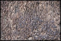 Dark basalt texture forms a repeating vertical pattern. Grand Canyon National Park ( color)