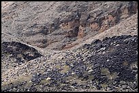 Black lava fragments spill across a pale slope of metamorphic terrain. Grand Canyon National Park ( color)