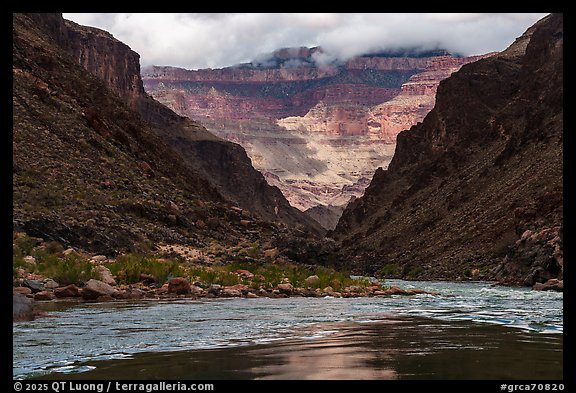 Mist clings to the upper cliffs as the river carves a dark path below. Grand Canyon National Park (color)