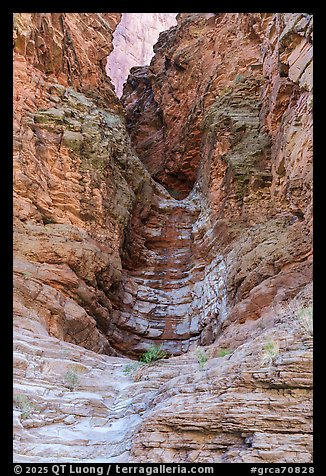 Dry waterfall. Grand Canyon National Park (color)