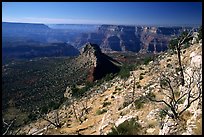 Bridger Knoll and burned slope from Monument Point, morning. Grand Canyon National Park, Arizona, USA.