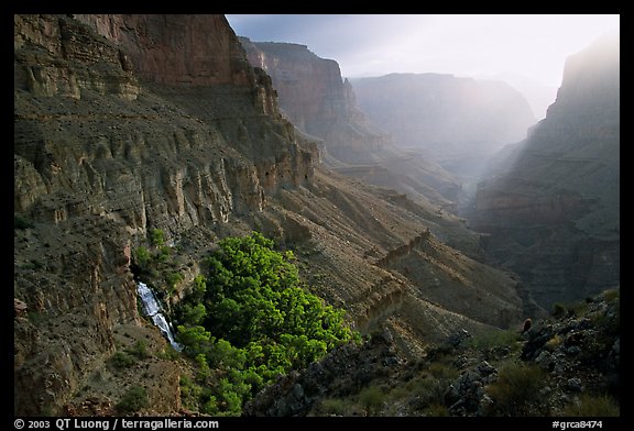 Thunder Spring and Tapeats Creek, morning. Grand Canyon National Park (color)