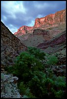 Tapeats Creek, dusk. Grand Canyon National Park ( color)