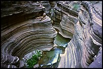 Narrows of Deer Creek. Grand Canyon National Park, Arizona, USA. (color)