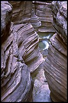 Slot Canyon carved by Deer Creek. Grand Canyon National Park, Arizona, USA. (color)