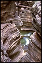 Slot Canyon carved by Deer Creek. Grand Canyon National Park, Arizona, USA. (color)