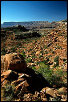 Layers of Supai from  edge of  Esplanade. Grand Canyon National Park, Arizona, USA.