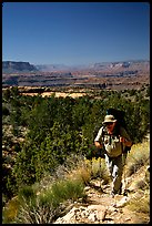 Backpacker on  Esplanade, Thunder River and Deer Creek trail. Grand Canyon National Park, Arizona, USA.