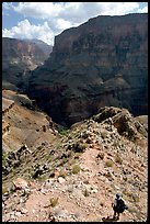 Solo Backpacker above Thunder River. Grand Canyon National Park ( color)