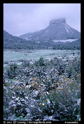 Fresh snow on meadows and Lookout Peak. Mesa Verde National Park, Colorado, USA.