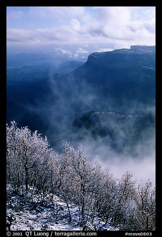 Snowy trees, cliffs, and clearing storm, Park Point, morning. Mesa Verde National Park (color)