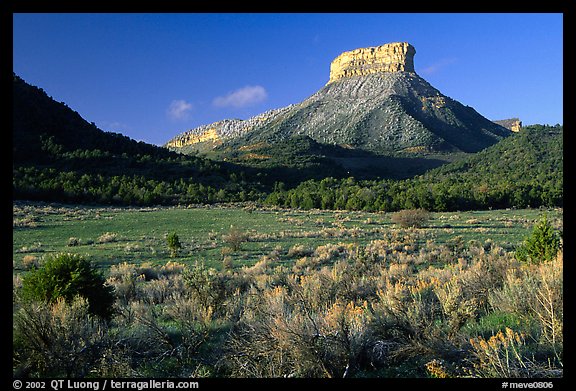 Meadows and mesas near the Park entrance, early morning. Mesa Verde National Park