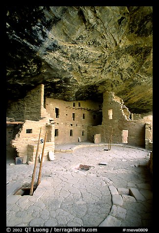 Ladder emerging from Kiva and Spruce Tree house. Mesa Verde National Park, Colorado, USA.