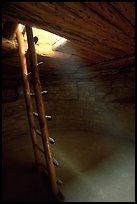 Ladder through a smoke hole in Spruce Tree house. Mesa Verde National Park, Colorado, USA. (color)
