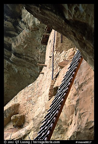 Balcony House ladder, afternoon. Mesa Verde National Park (color)