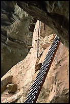 Balcony House ladder, afternoon. Mesa Verde National Park, Colorado, USA. (color)
