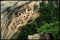 Cliff Palace from above, late afternoon. Mesa Verde National Park, Colorado, USA. (color)