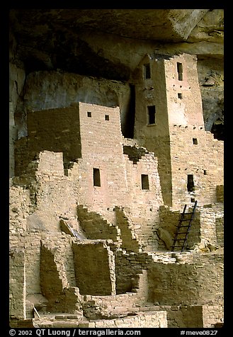 Square Tower in Cliff Palace. Mesa Verde National Park, Colorado, USA.