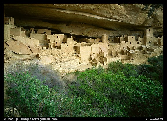 Cliff Palace ruin in rock alcove. Mesa Verde National Park (color)