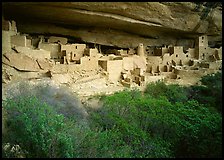 Cliff Palace ruin in rock alcove. Mesa Verde National Park ( color)