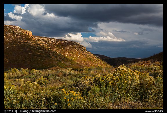 Prater Canyon, afternoon storm. Mesa Verde National Park (color)