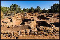 Ancestral Puebloan village with multiple rooms and kivas. Mesa Verde National Park ( color)